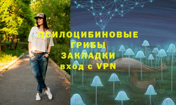 мдпв Касимов