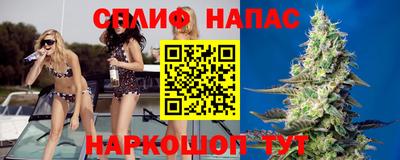 амф Севастополь
