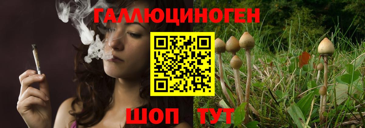 Псилоцибиновые грибы прущие грибы  Вход с VPN  Псилоцибиновые грибы GOLDEN TEACHER  Глазов 